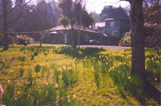 Fernhill Garden - Dublin